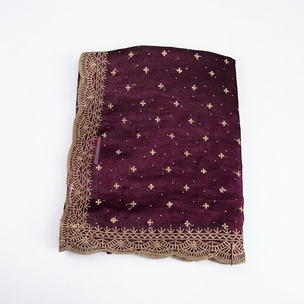 Light Weight 2 Toned Shamoo Silk Organza Saree with Rich Zari Work for Women | Luxury Traditional Party Wear Saree with Stitched Blouse Piece | Elegant Wedding, Reception & Festive Designer Saree Collection
