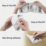 500pcs 4x6 Thermal Shipping Labels | Cheap Direct Thermal Paper for Zebra, Toshiba & Citizen Printers | Bulk 100x150mm Roll