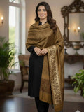 Beautiful high quality pashmina shawl printed border and centre full size 40/90 inches light weight